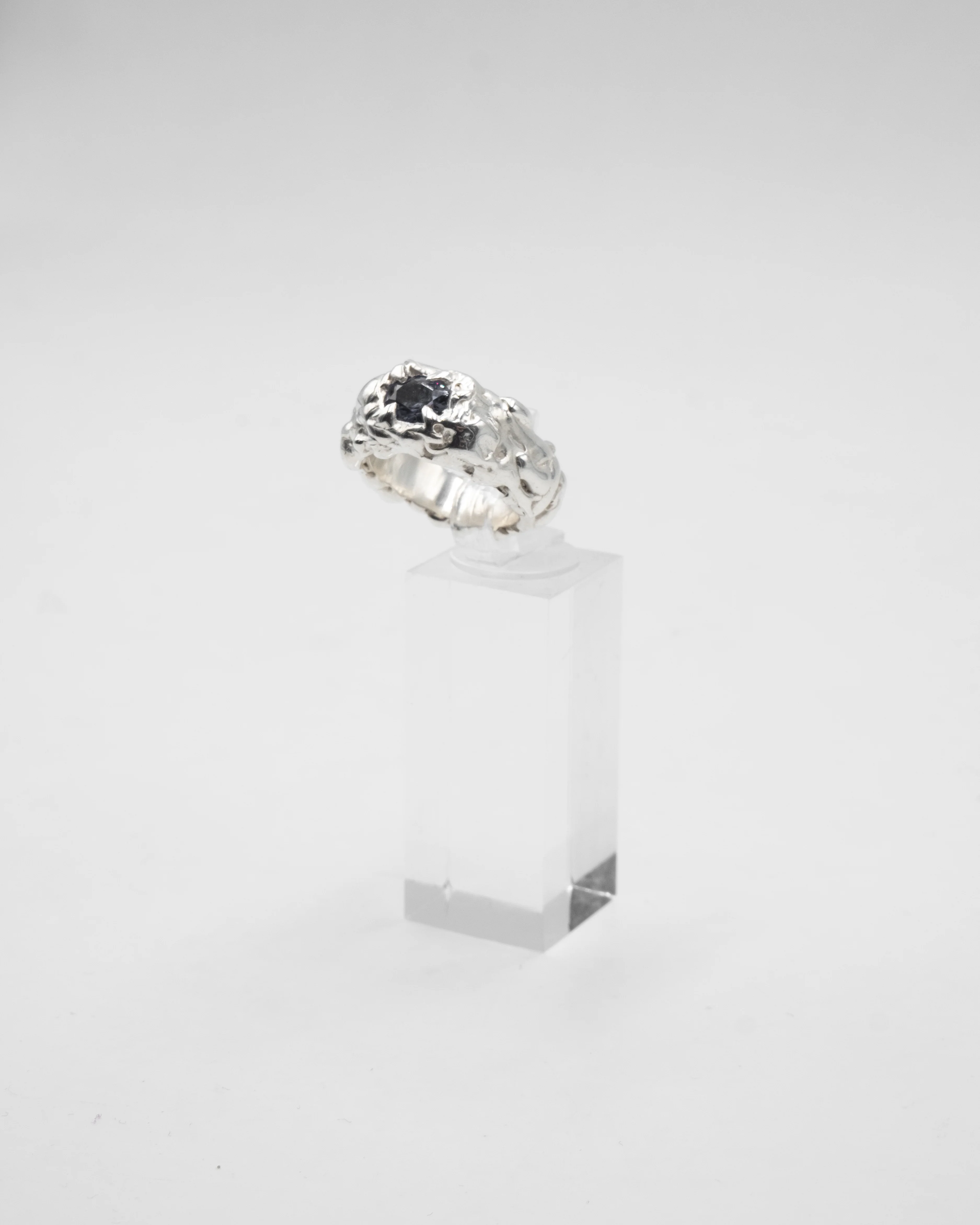 Miniature 2
